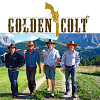 Golden Colt